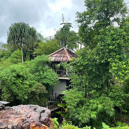 Khaosok Farmstay Khao Sok National Park Εξωτερικό φωτογραφία