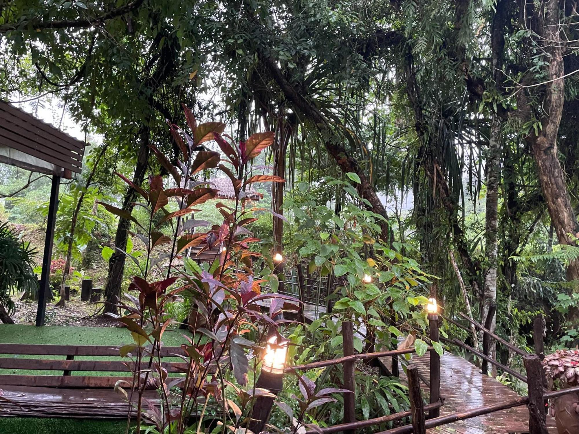 Khaosok Farmstay Khao Sok National Park Εξωτερικό φωτογραφία
