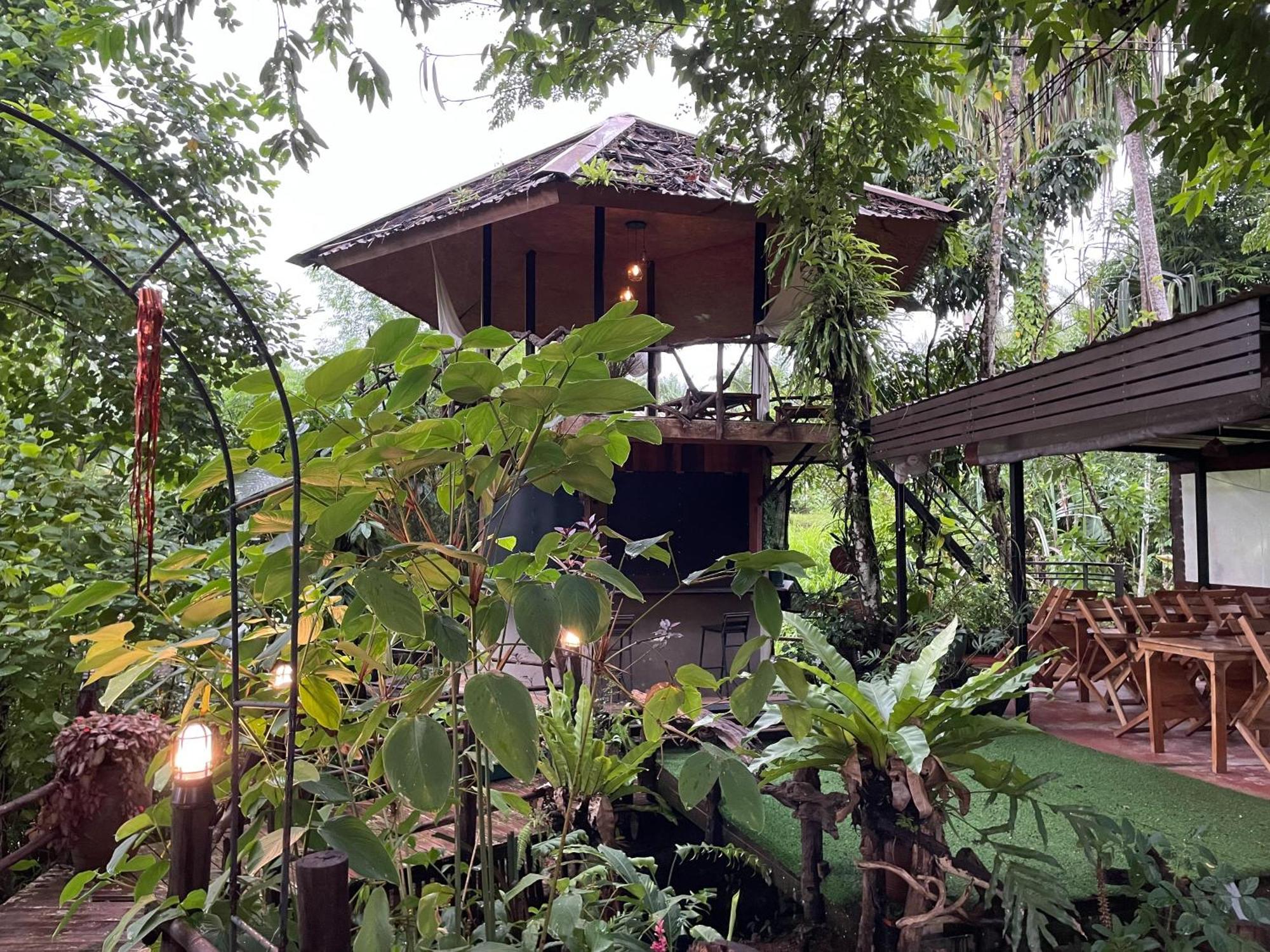 Khaosok Farmstay Khao Sok National Park Εξωτερικό φωτογραφία