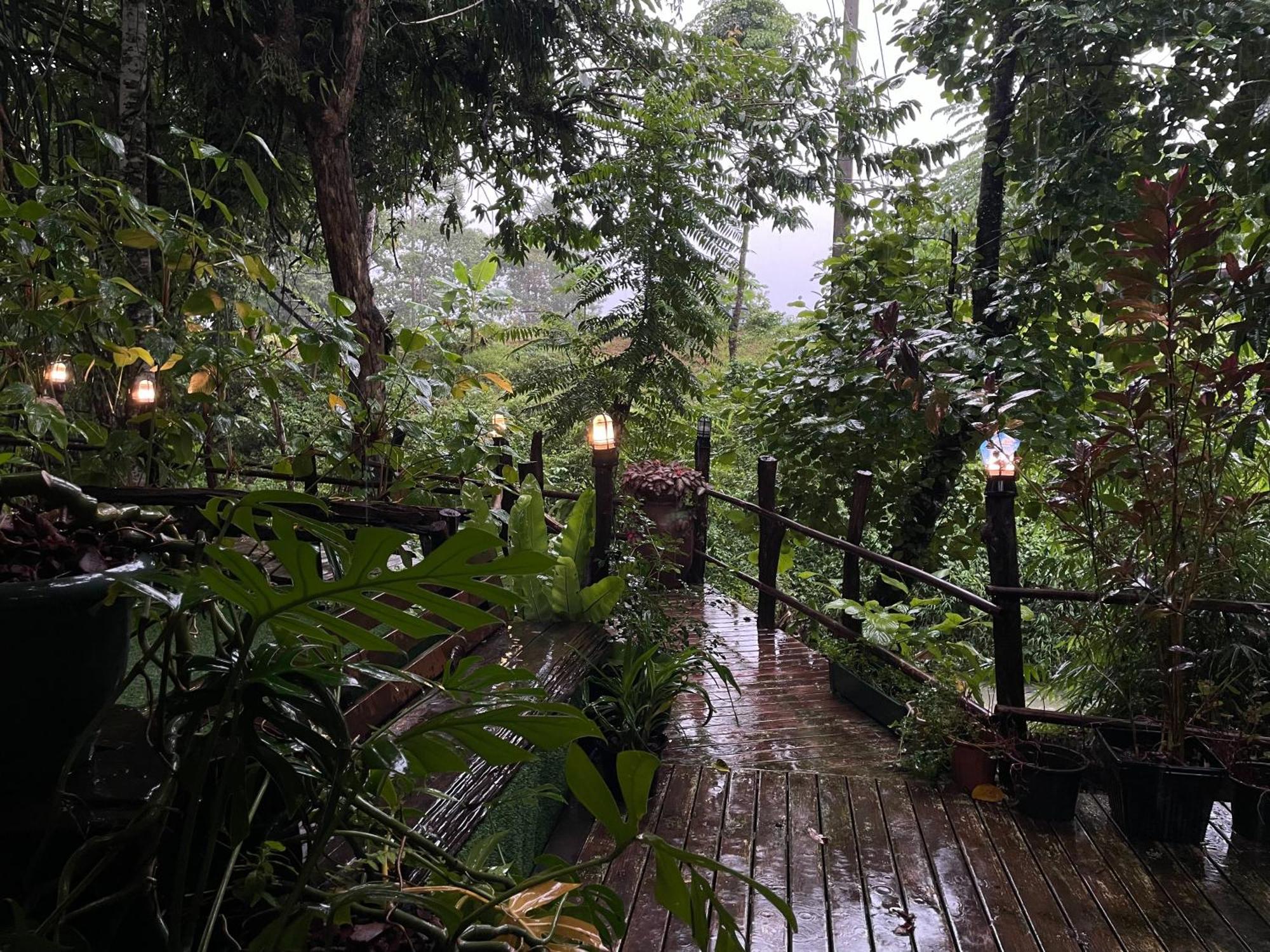 Khaosok Farmstay Khao Sok National Park Εξωτερικό φωτογραφία
