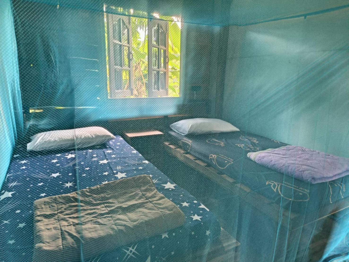 Khaosok Farmstay Khao Sok National Park Εξωτερικό φωτογραφία